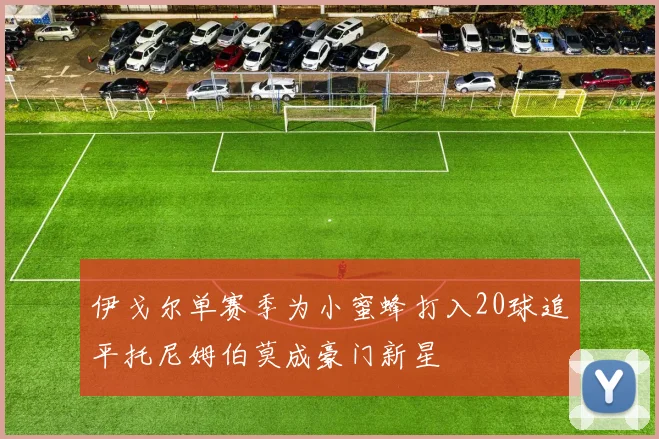 伊戈尔单赛季为小蜜蜂打入20球追平托尼姆伯莫成豪门新星