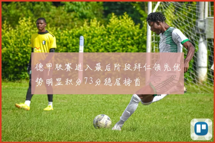 德甲联赛进入最后阶段拜仁领先优势明显积分73分稳居榜首