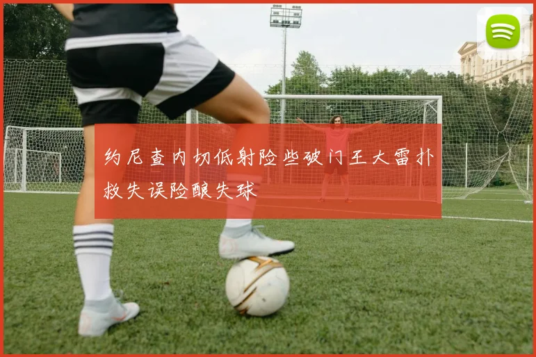 约尼查内切低射险些破门王大雷扑救失误险酿失球